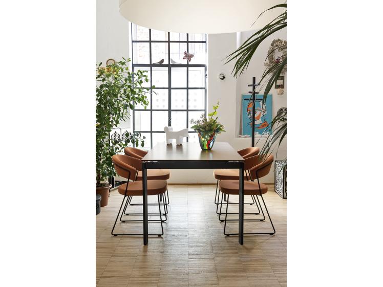 Connubia - New York Dining Chair
