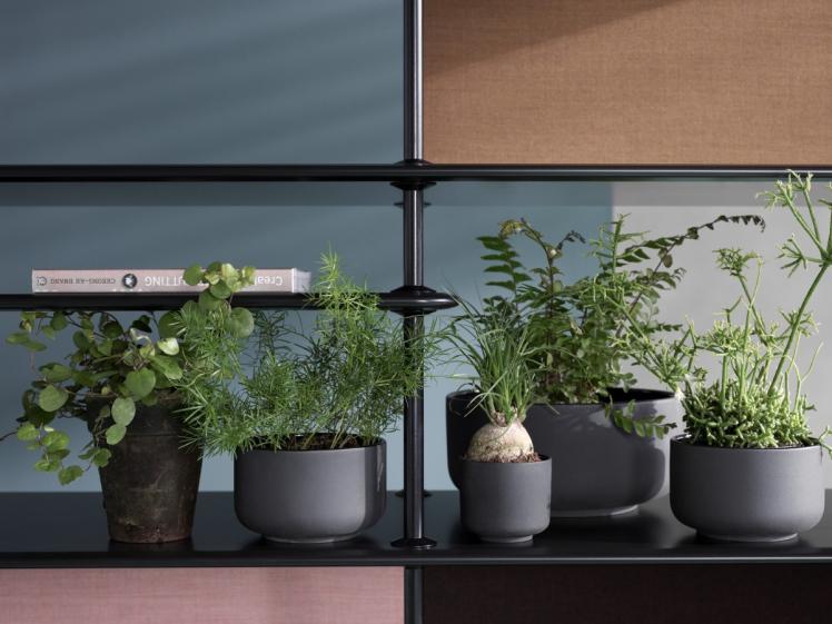 Montana - Free Shelving System 542100