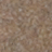 Rusty Brown
