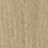 BR/Brass +£150.00